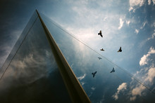 Flight Of Birds Reflection On A Glass Building.
