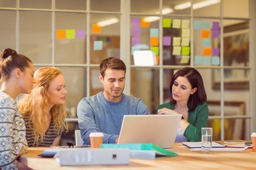 Sticker - Group of young colleagues using laptop