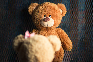 Wall Mural - teddy bears
