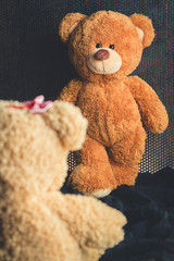 Wall Mural - teddy bears