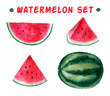 Vector watercolor hand drawn watermelon set.