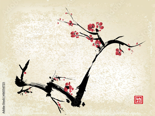 Photographie cherry blossom ink painting
