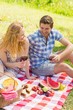 © WavebreakmediaMicro - Young couple on a picnic drinking wine