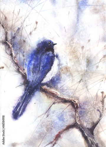 Naklejka na szafę Water color drawing of a bird