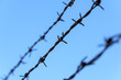 Prison Rusty Barbed Wire On Blue Sky