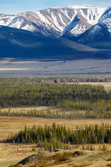 Altai mountains in Kurai area with North Chuisky Ridge on backgr