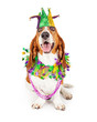 canvas print picture - Mardi Gras Party Dog
