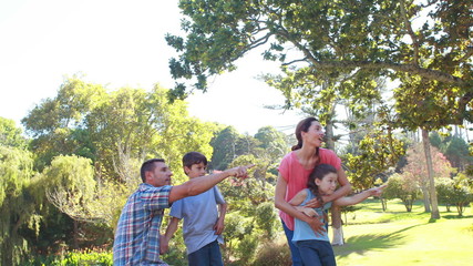 Poster - Happy family pointing something in park