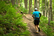 male trail runner on the track in the woods