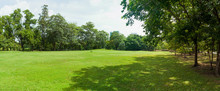Green Grass Field In Big City Park