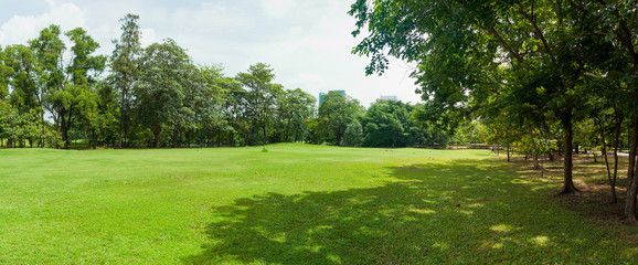 green grass field in big city park