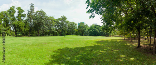 Fotografía green grass field in big city park