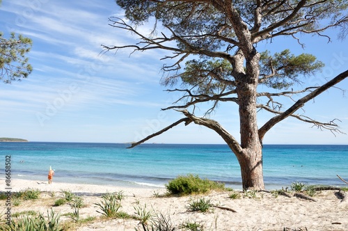 Plage De Corse Du Sud Buy This Stock Photo And Explore