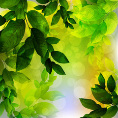 Poster - Spring Background