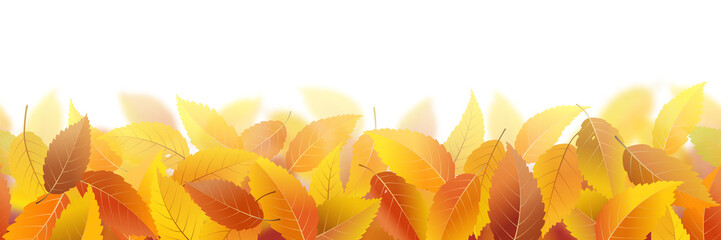 Wall Mural - seamless pattern with fallen autumn leaves