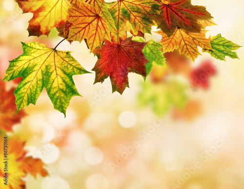 Autumn leaves background with bokeh