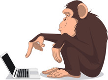 Monkey And Computer