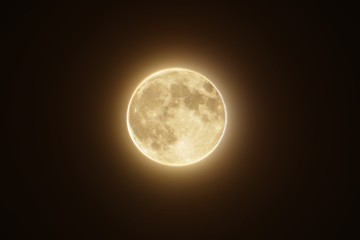 halo