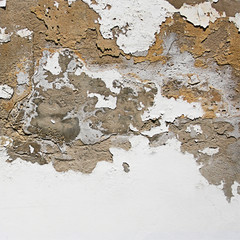 Canvas Print - Old wall