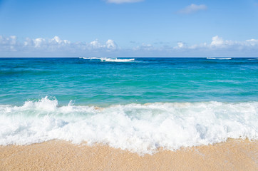 Wall Mural - Ocean and tropical sandy beach background