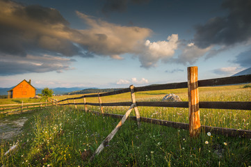 Wall Mural - Wooden fence