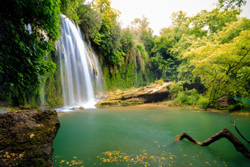 a beautiful waterfall in the forest on a river