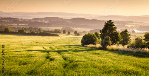 Plakat na zamówienie Bohemian landscape