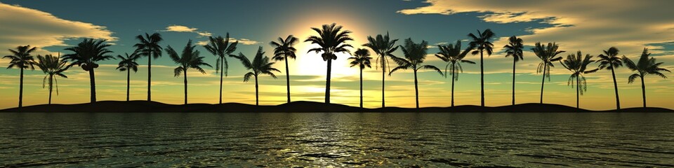 Wall Mural - Sea sunset. Panorama. Palm trees against the sky.