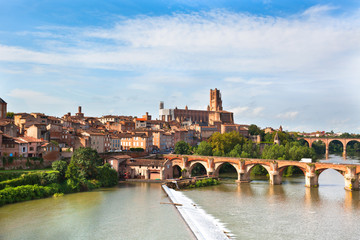 Canvas Print - View of the Albi, France