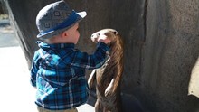 Little Boy And Otter Statue At The Zoo