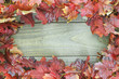 Blank wood sign with autumn leaves border