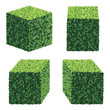 Perspective Square Bushes. Vector bushes.
