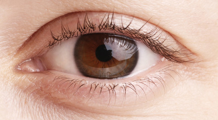 Close up view of a brown woman eye - no make up on