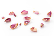 Dry Pink And White Rose Petal