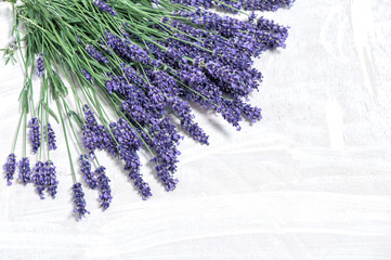 Canvas Print - Lavender flowers over rustic wooden background