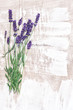 Lavender flowers over rustic wooden background. Country style de