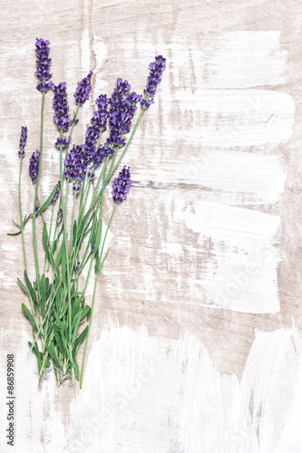 Naklejka - mata magnetyczna na lodówkę Lavender flowers over rustic wooden background. Country style de