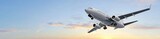 Modern Passenger airplane flight in sunset panorama