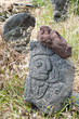 Grey lava sculpture of a man's profile