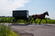 Amish Horse and Buggy. An Amish style black buggy drawn by horse in rural Indiana, United States.