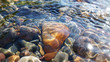 canvas print picture - Crystal clear water of small brook in Altai steppe in Chagan-Ouzun place