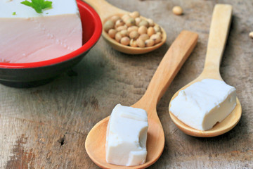 Canvas Print - Soybeans and tofu