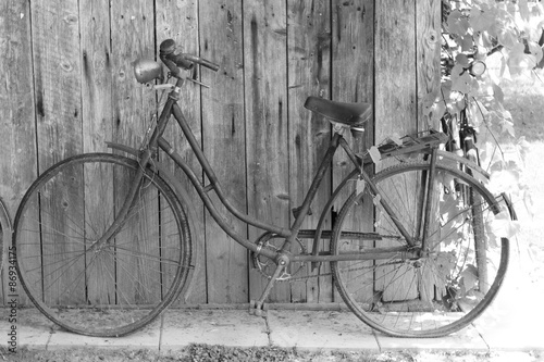 Fototapeta do kuchni retro fahrrad