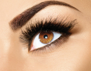 Poster - Brown eye makeup. Perfect beauty eyebrows