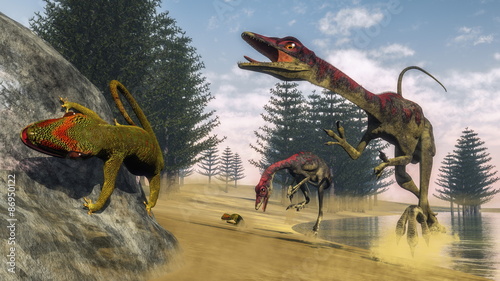 Plakat na zamówienie Compsognathus dinosaurs - 3D render