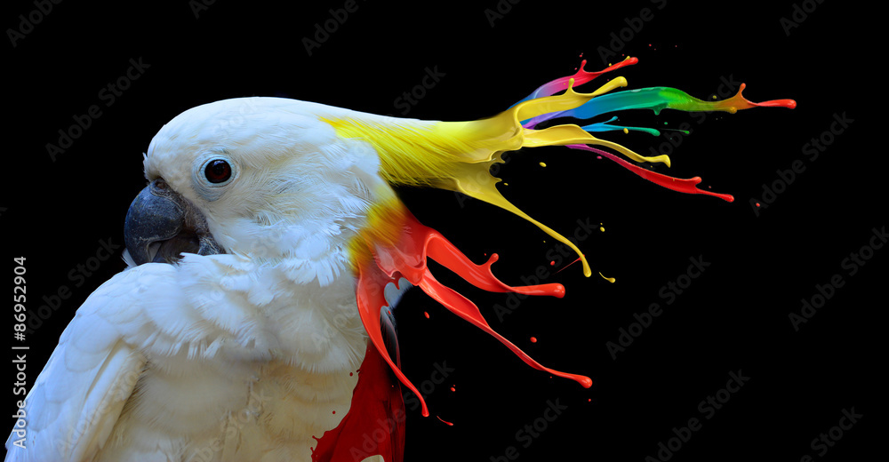 Digital photo manipulation of a white parrot - obrazy, fototapety, plakaty 