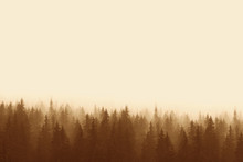 Landscape In Sepia - Pine Forest In Mountains With Fog