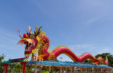 Wall Mural - The Elegant Dragon on the sky at chinese temple in Thailand.