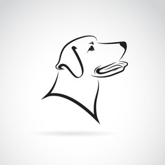 Poster - Vector image of an dog labrador on white background