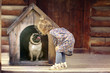 © kichigin19 - girl and small dog, dog house
